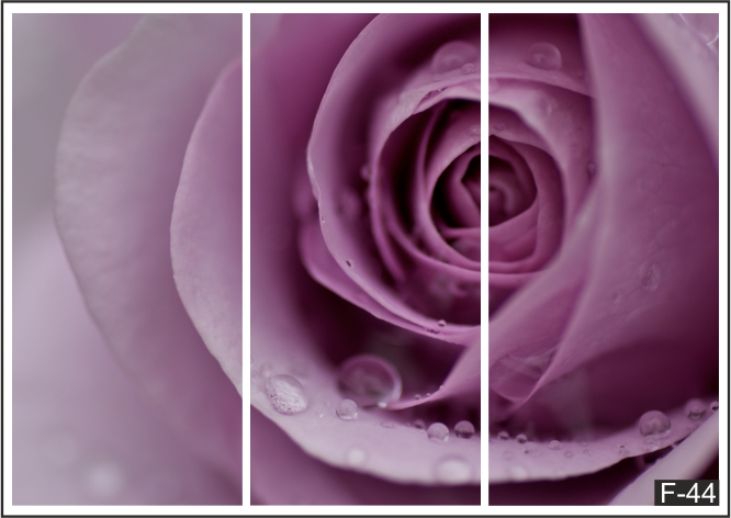 97c77fb2c3edeb6eb6ccf782c05344bc.jpg