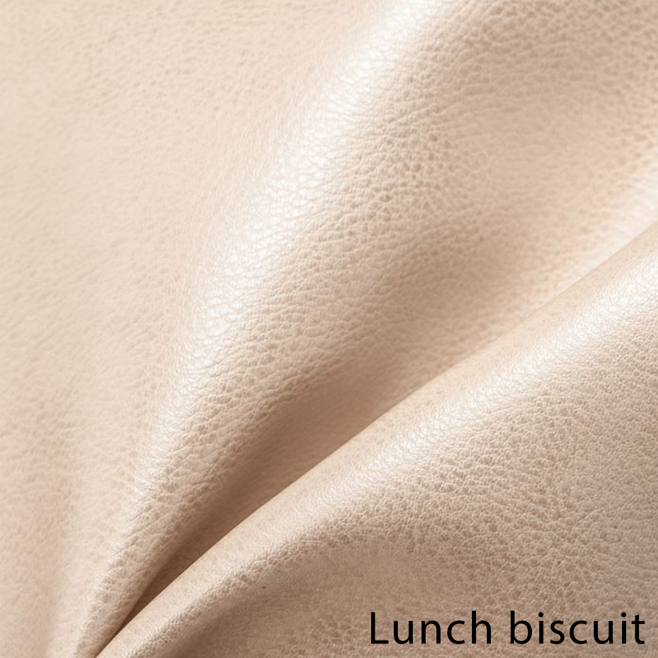 Lunch biscuit
