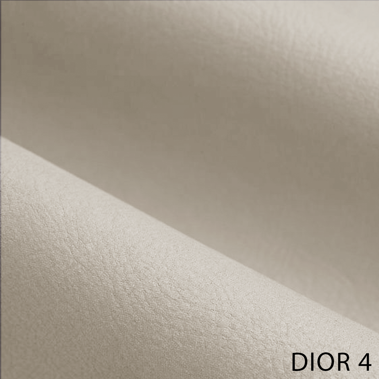 DIOR 4