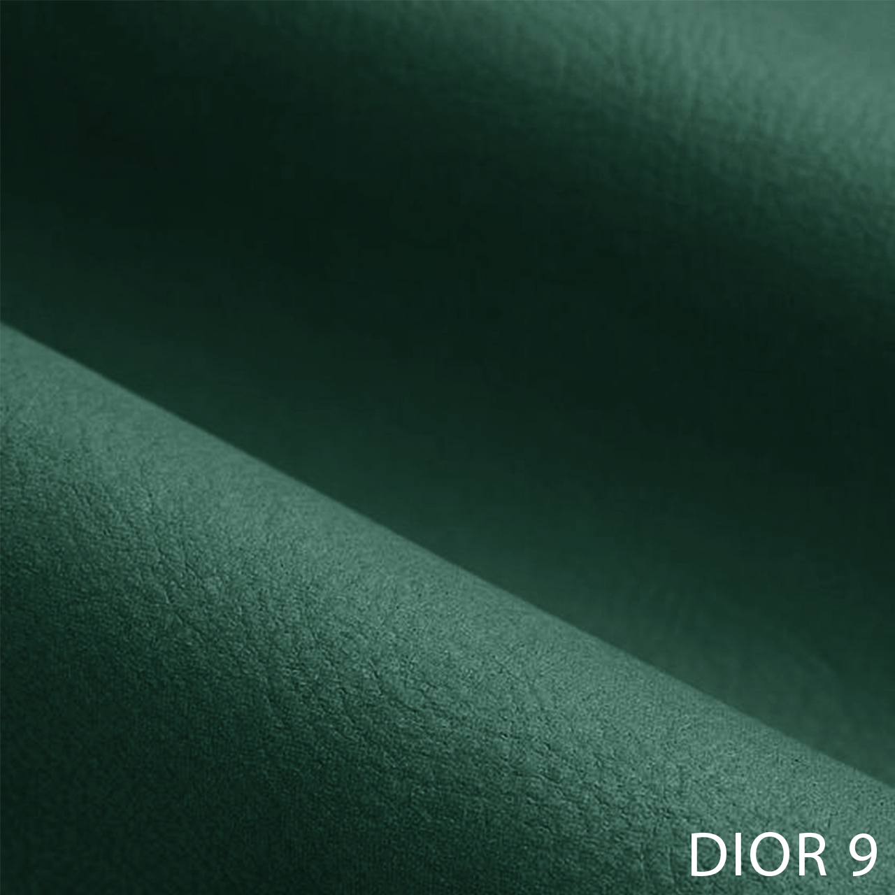 DIOR 9