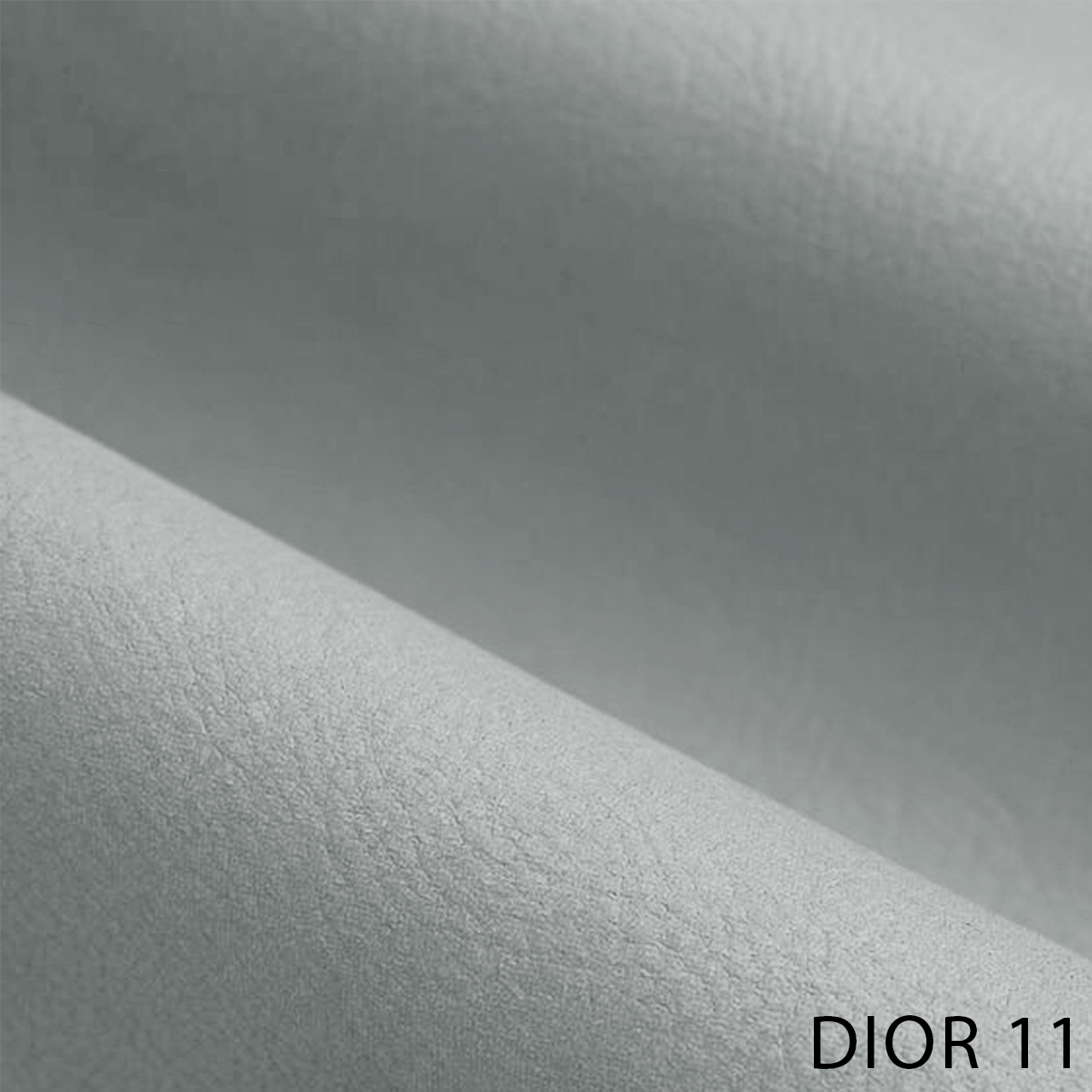 DIOR 11