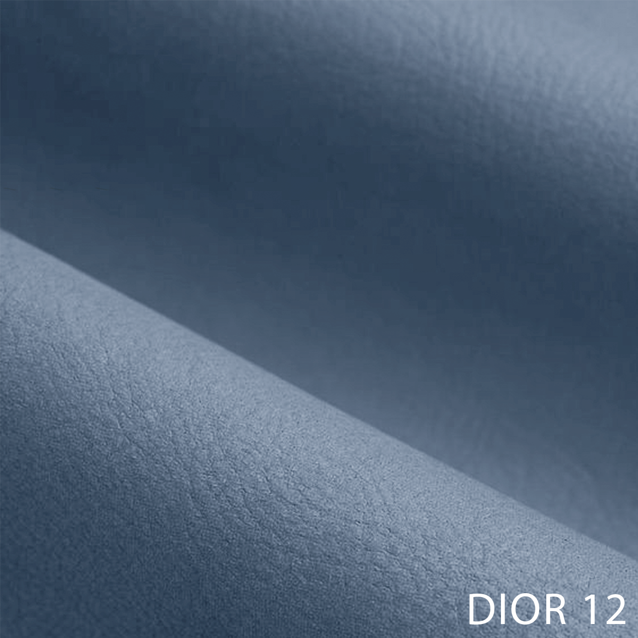 DIOR 12