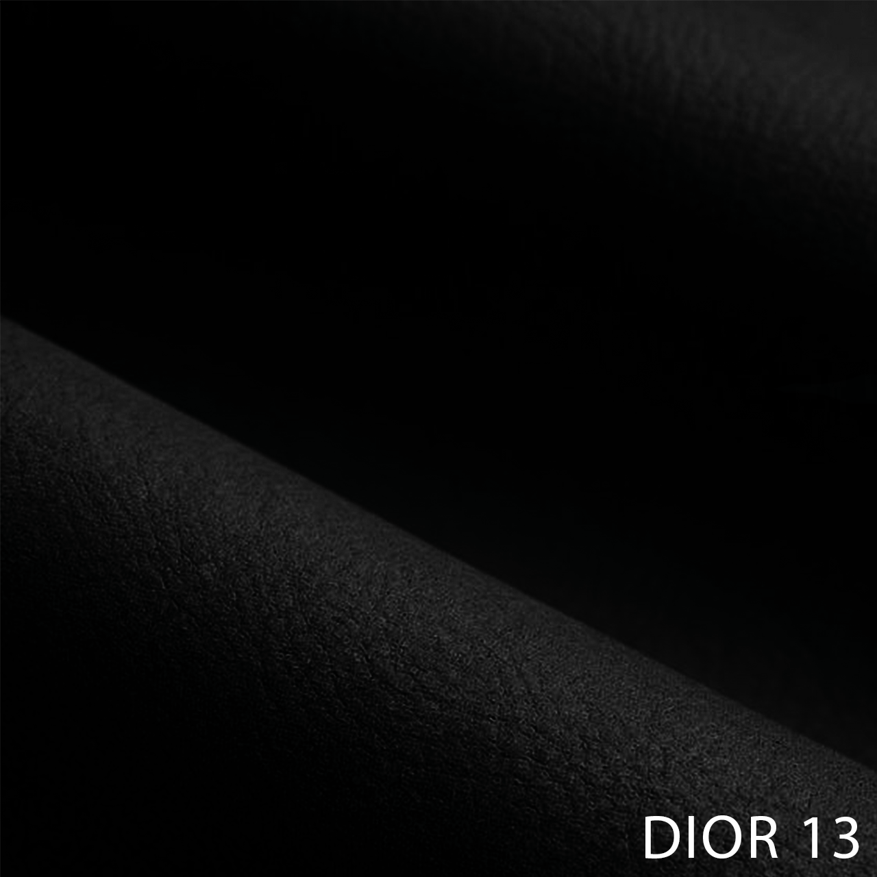 DIOR 13