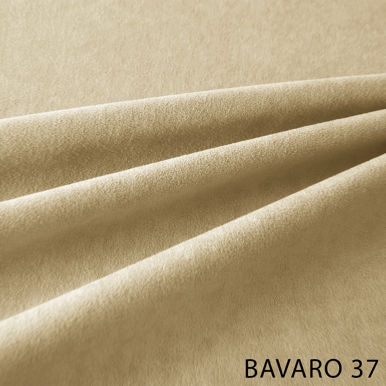 BAVARO 37