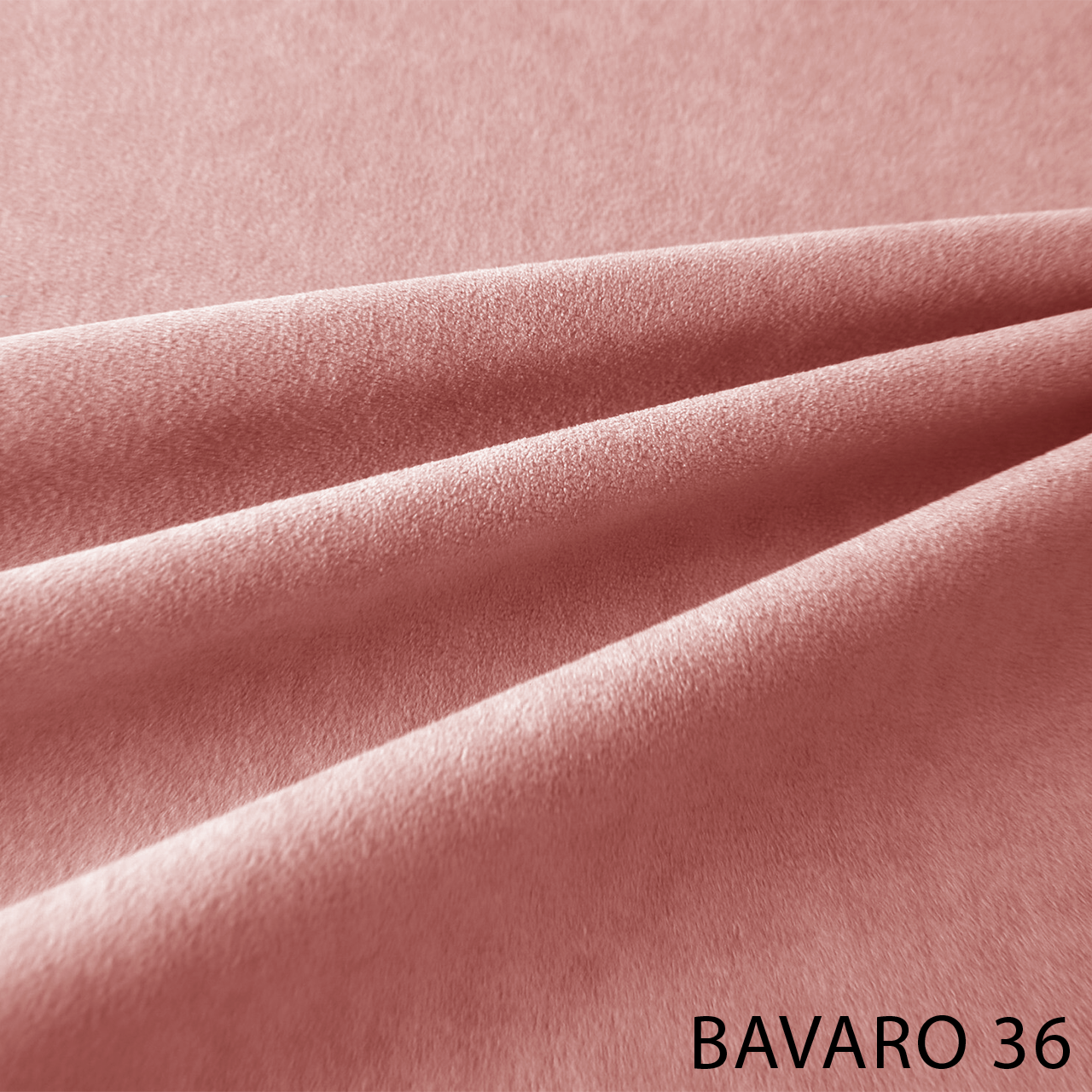 BAVARO 36