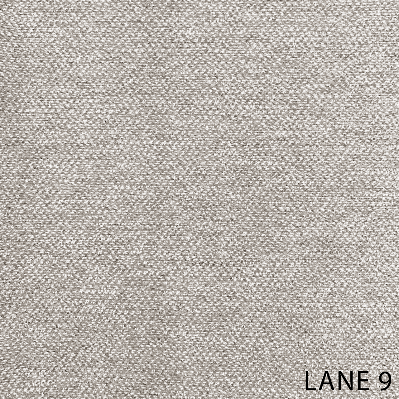 LANE 9