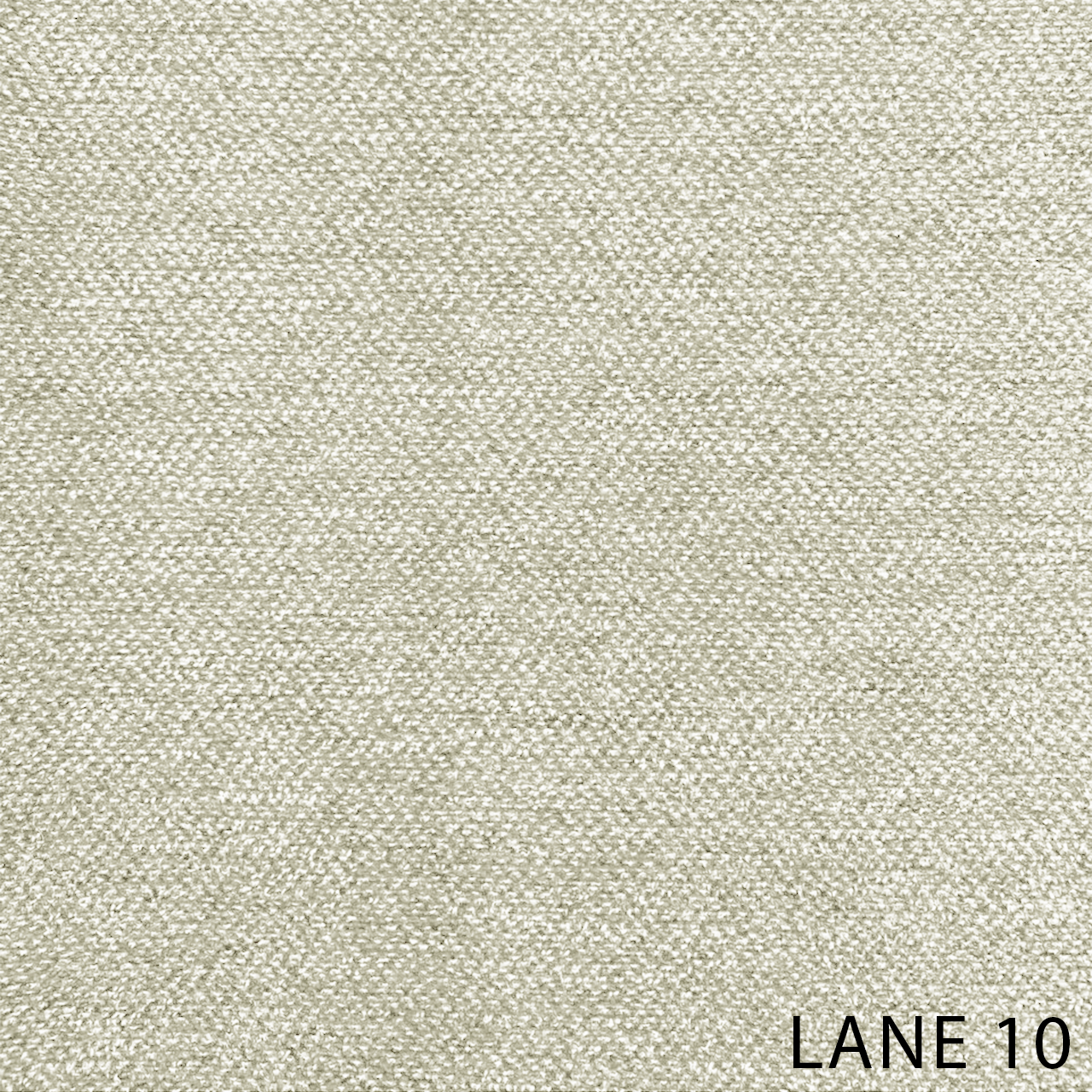 LANE 10