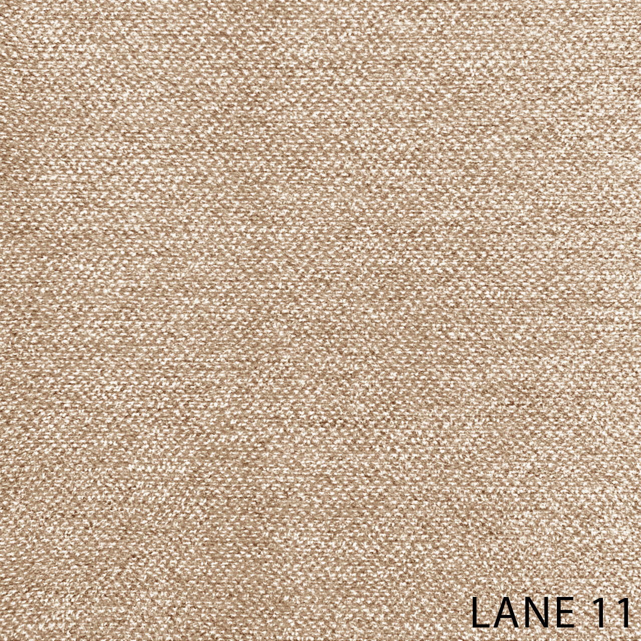 LANE 11