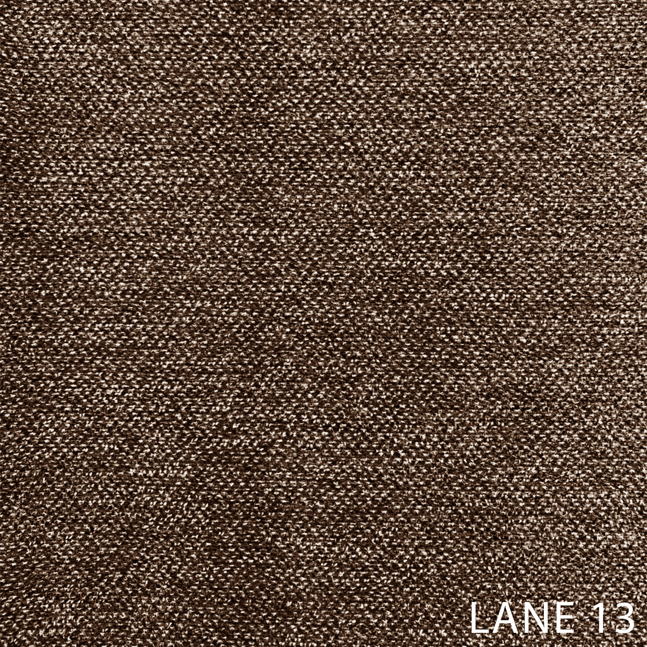 LANE 13