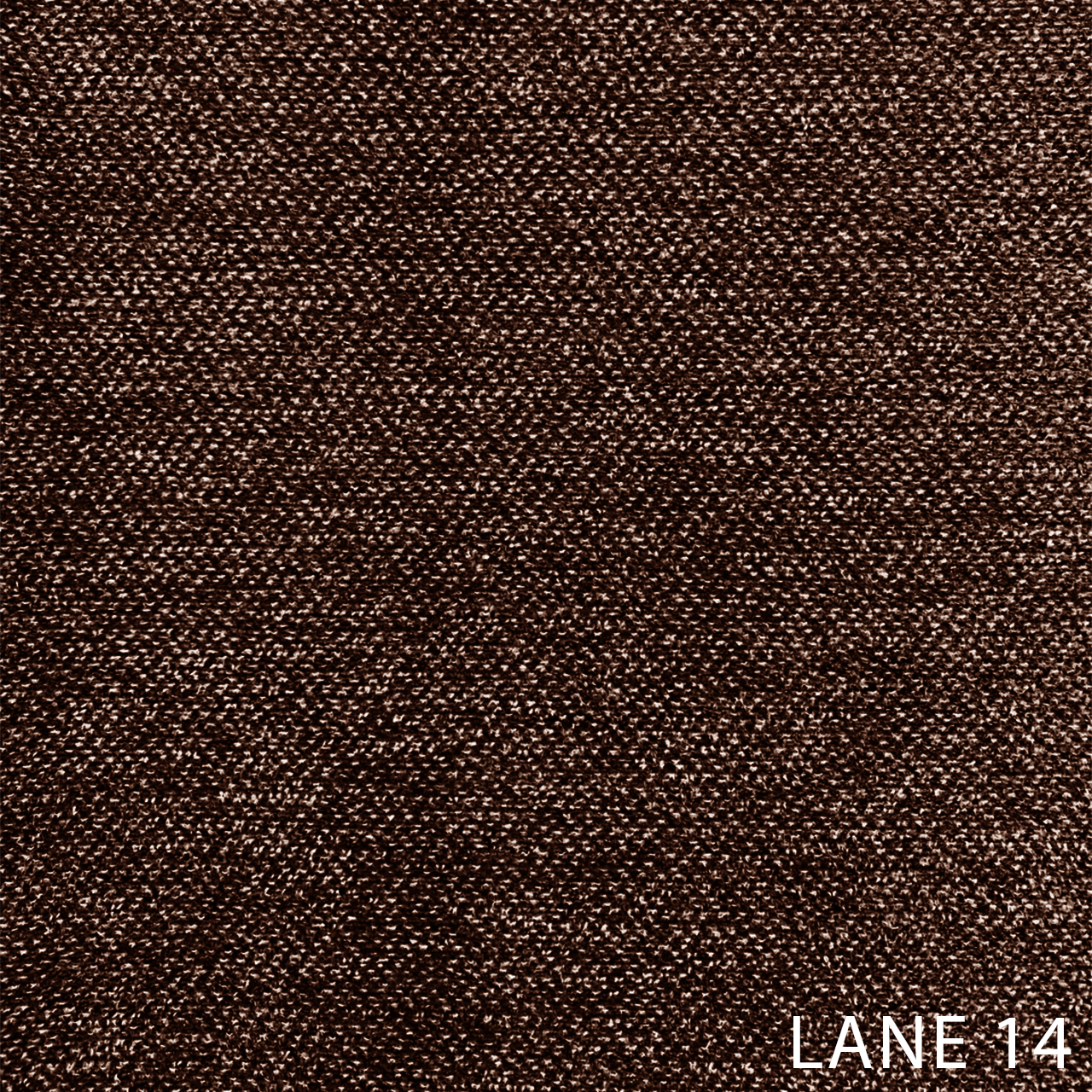 LANE 14