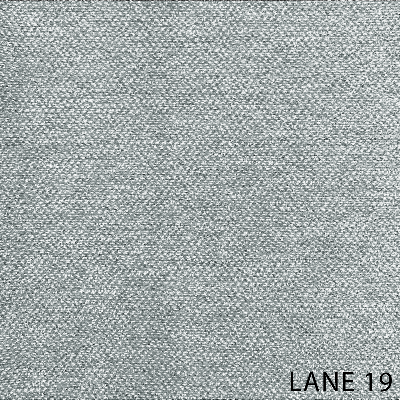 LANE 19