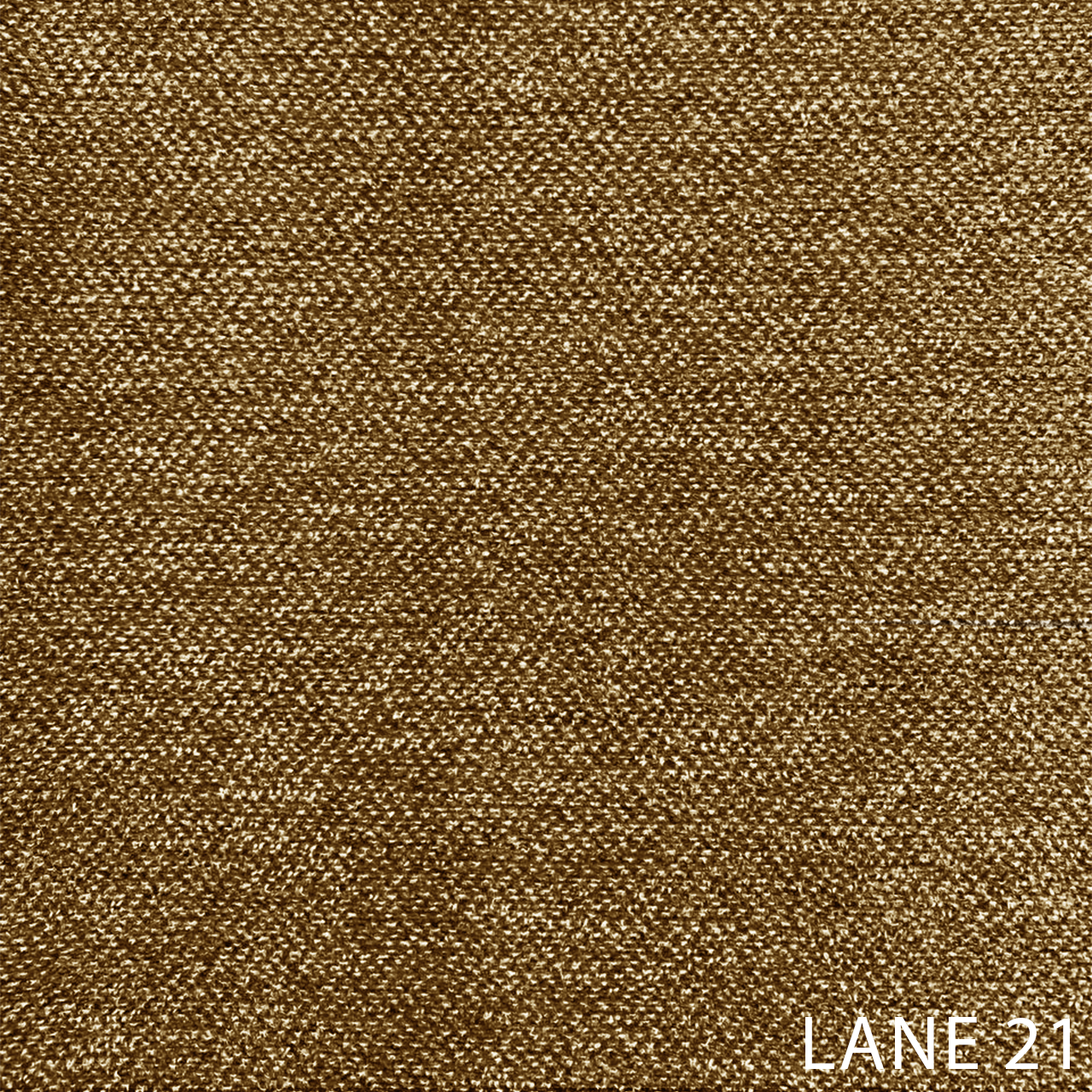 LANE 21