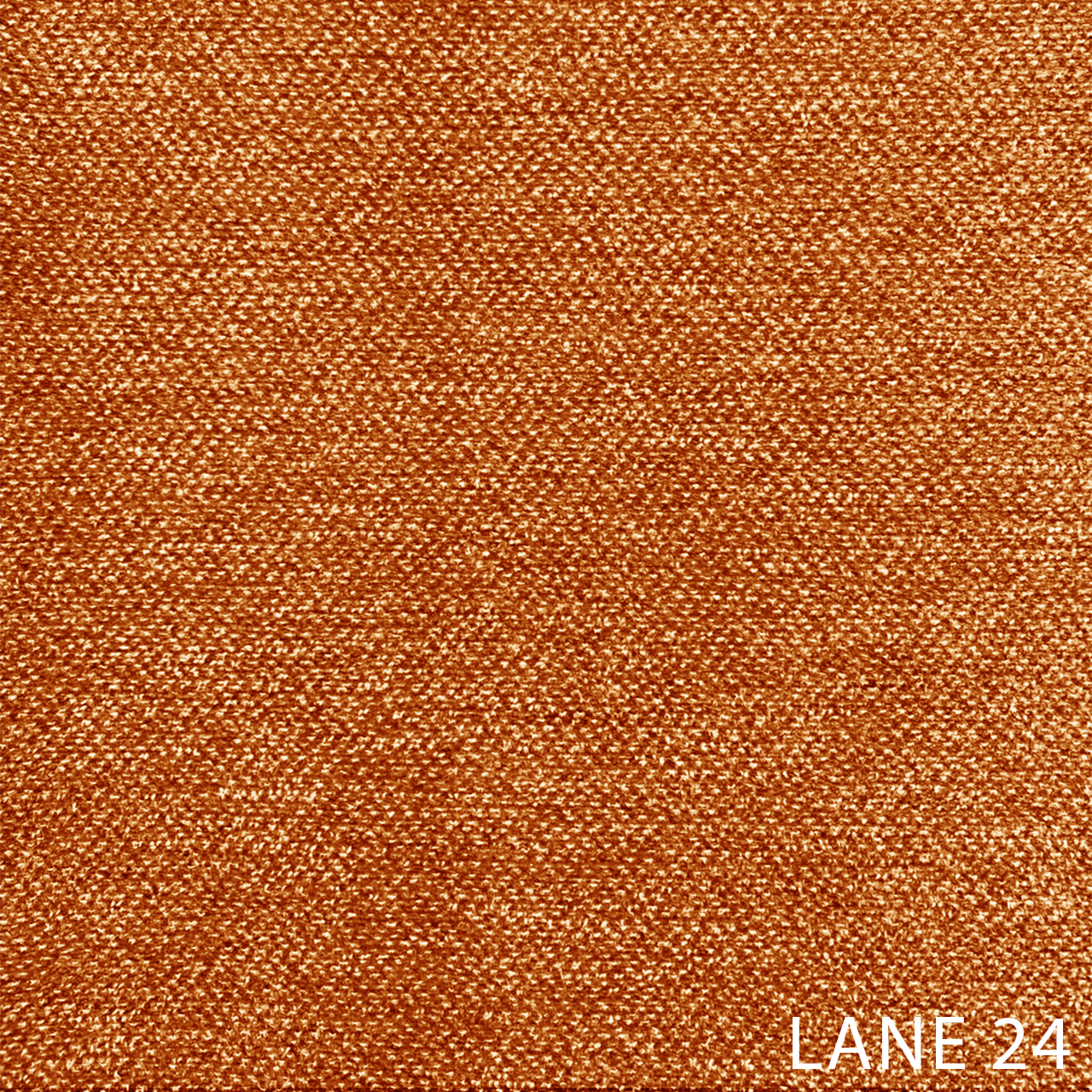 LANE 24