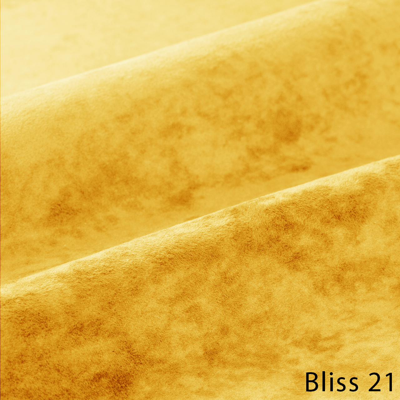 Bliss 21