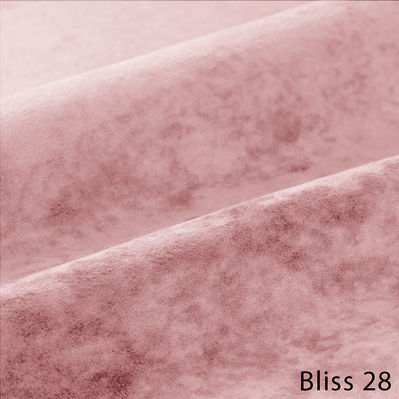 Bliss 28