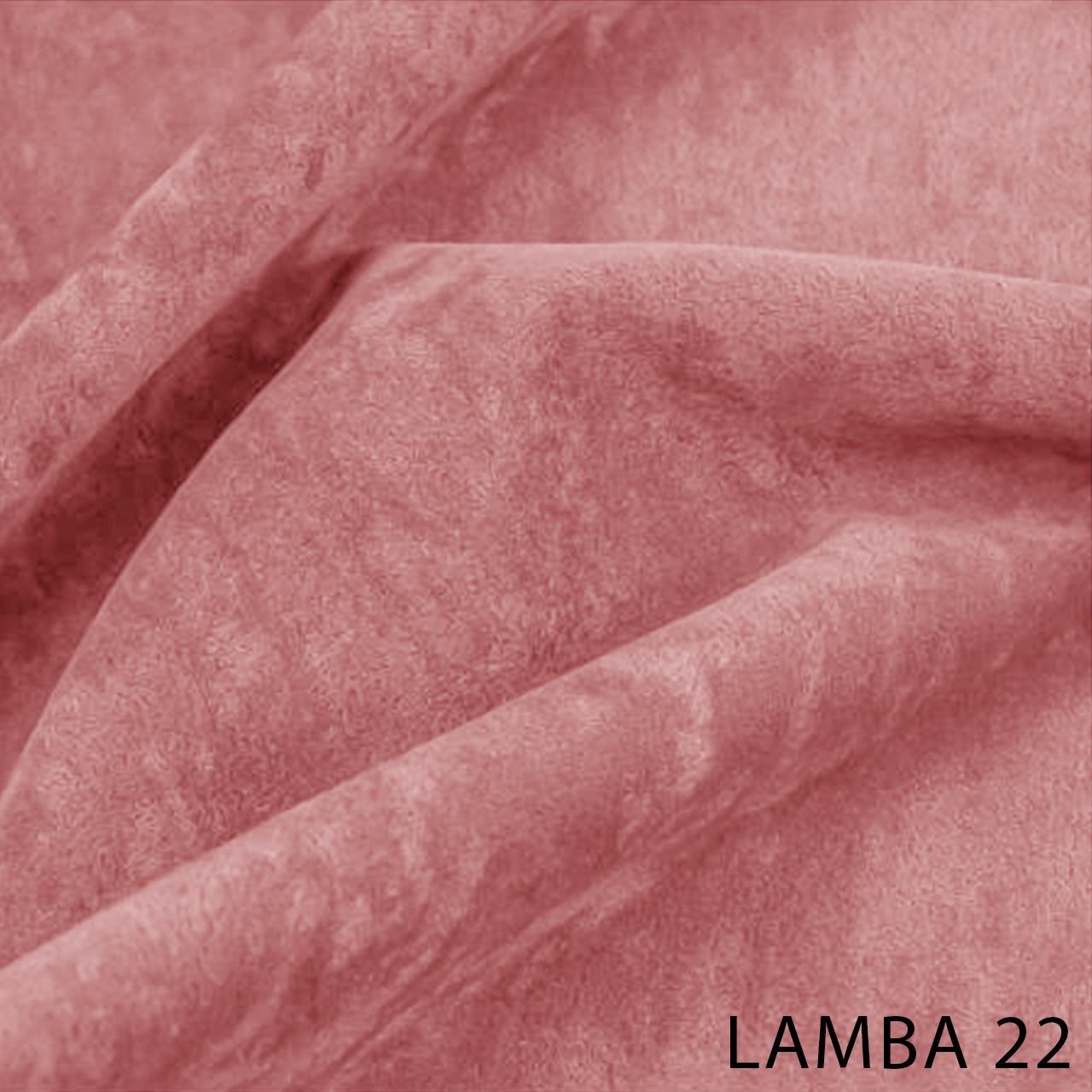 LAMBA 22