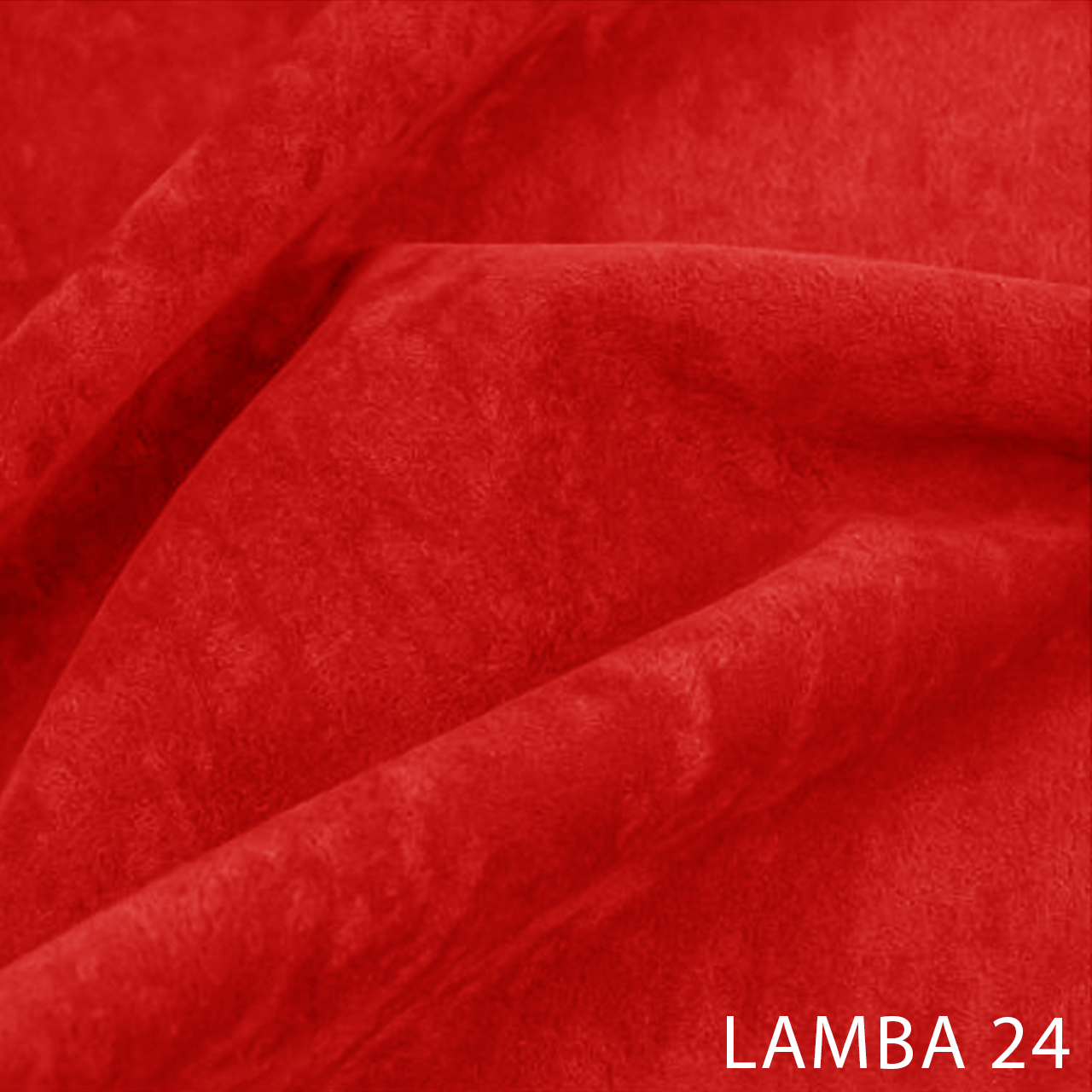 LAMBA 24