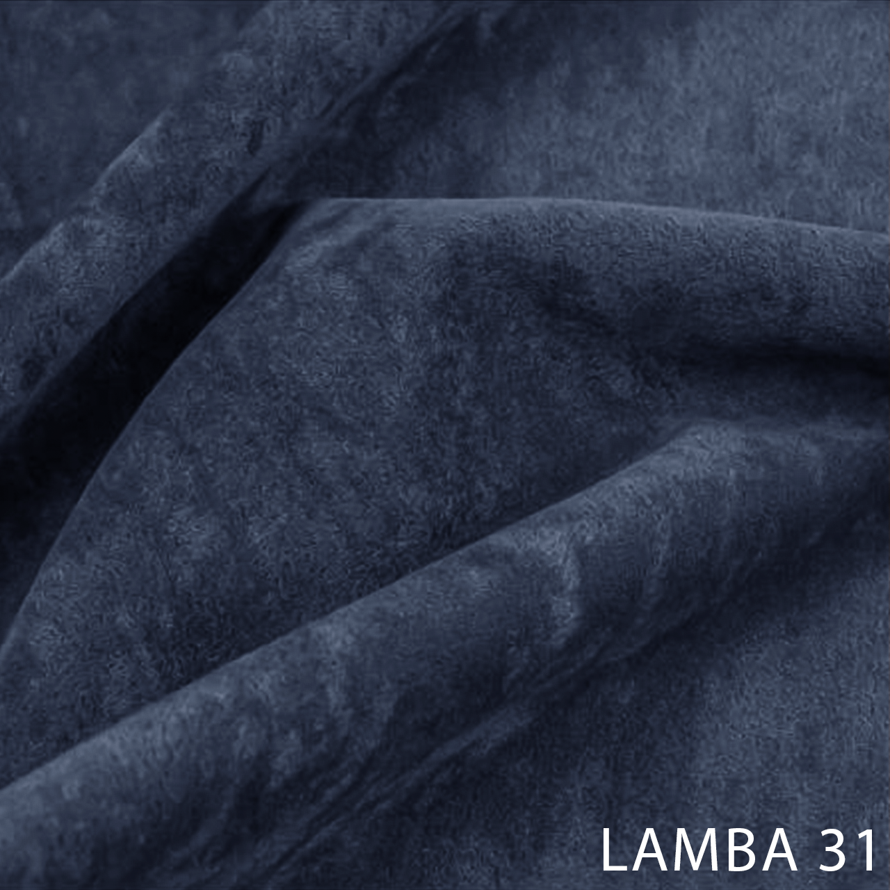 LAMBA 31