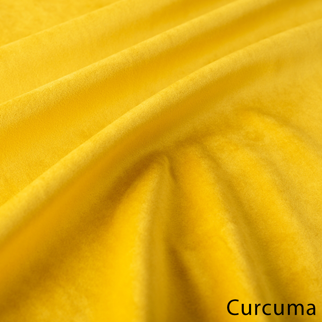 Curcuma