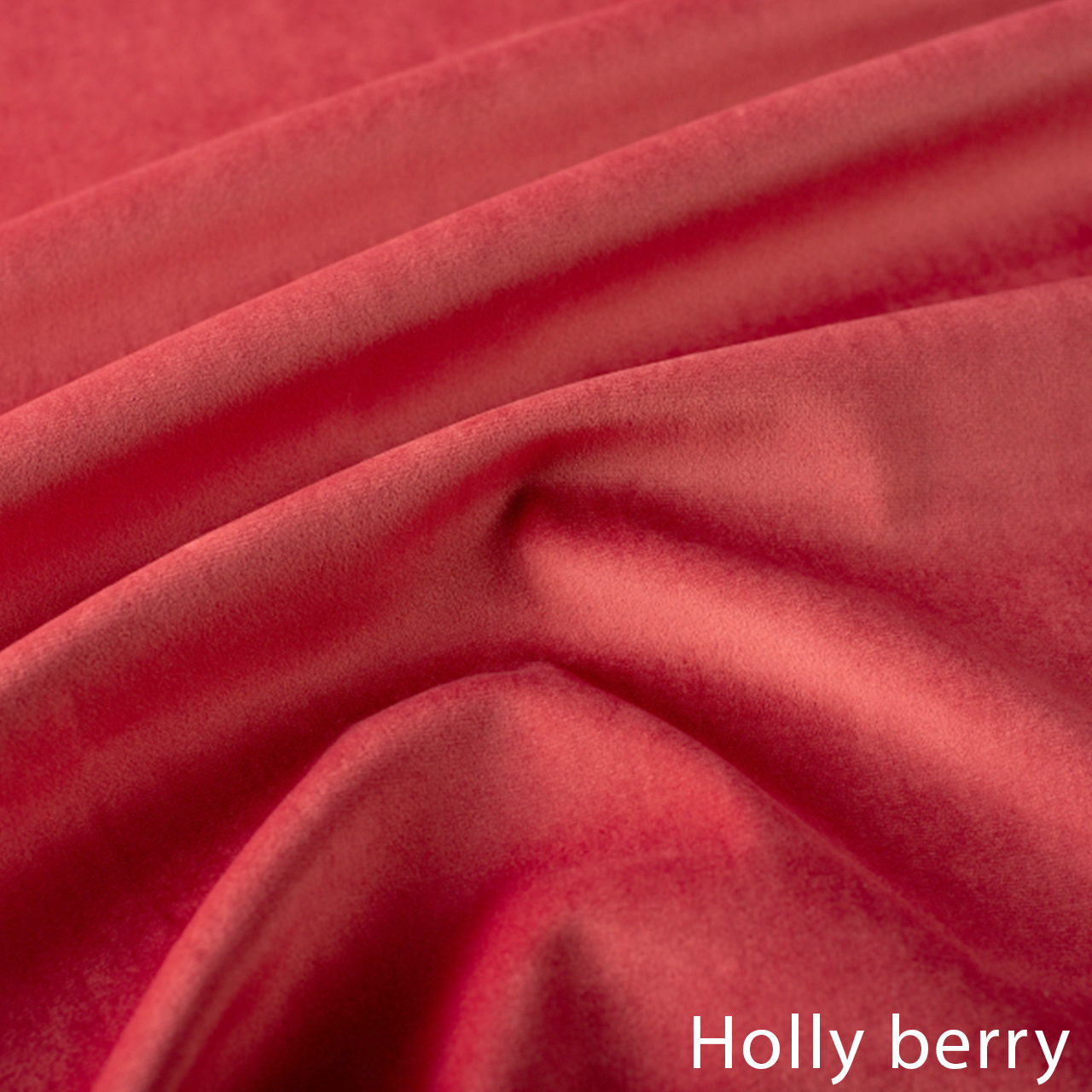 Holly berry