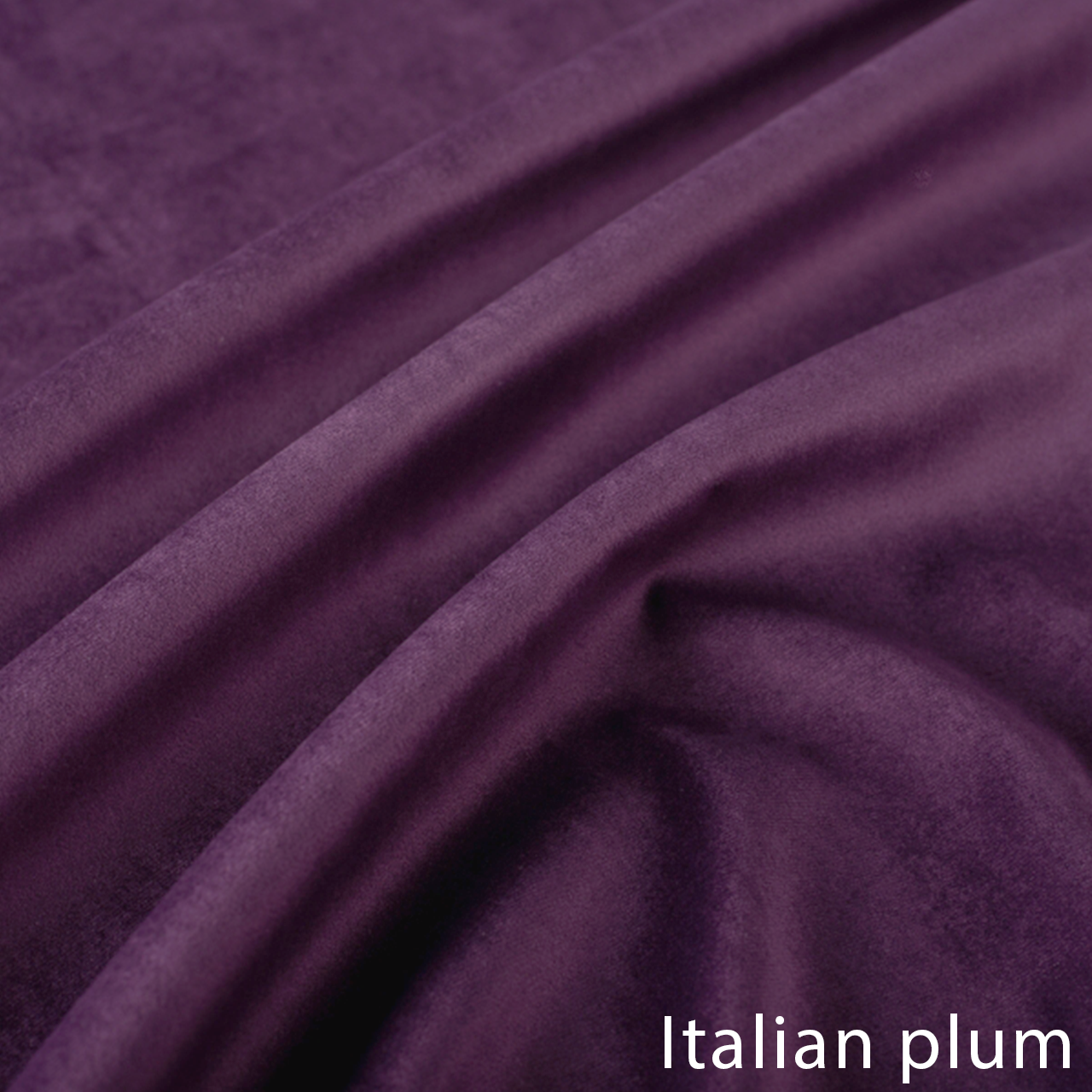 Italian plum