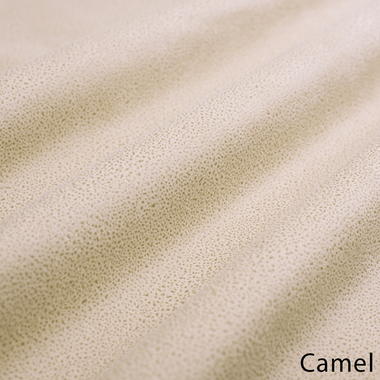 Camel