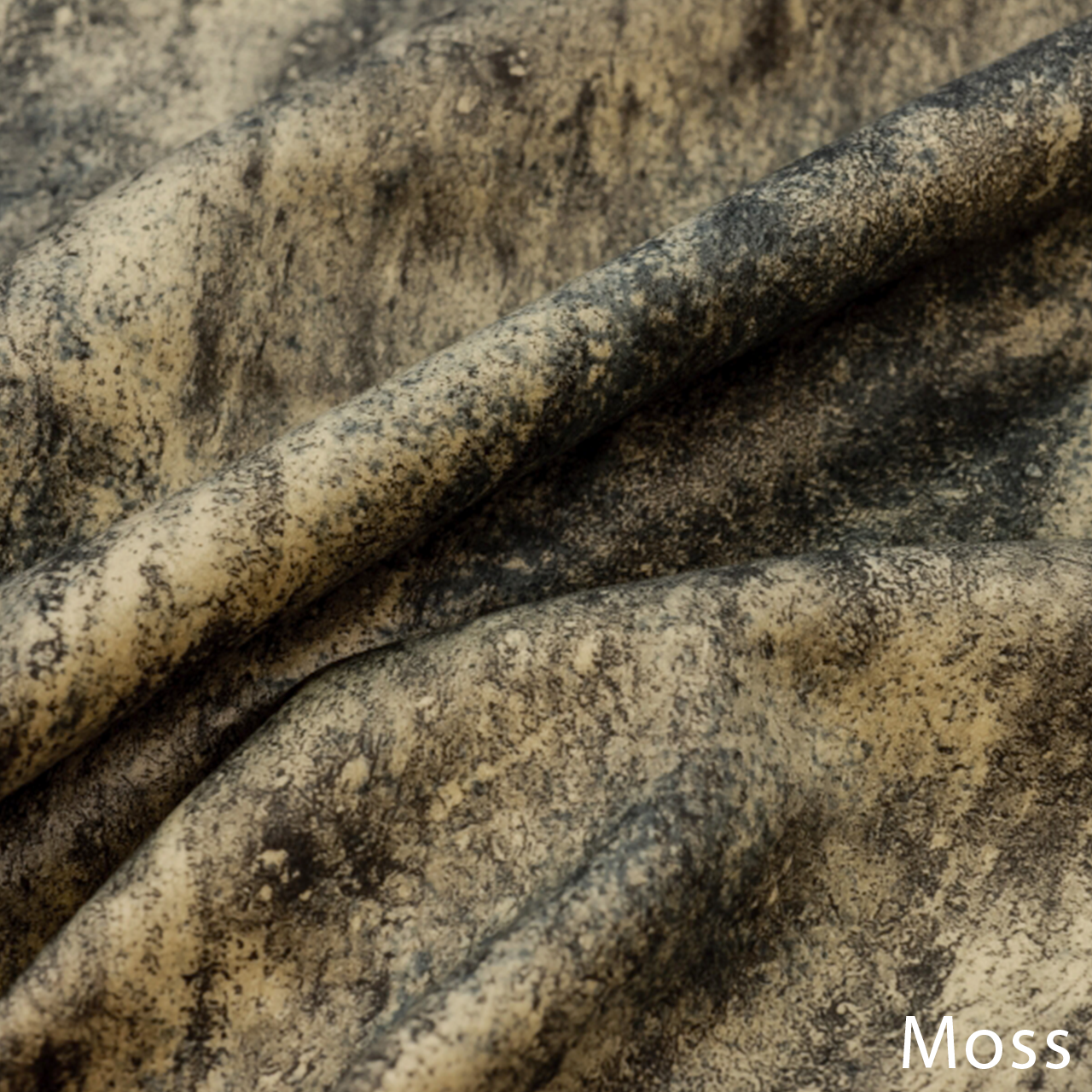 Moss