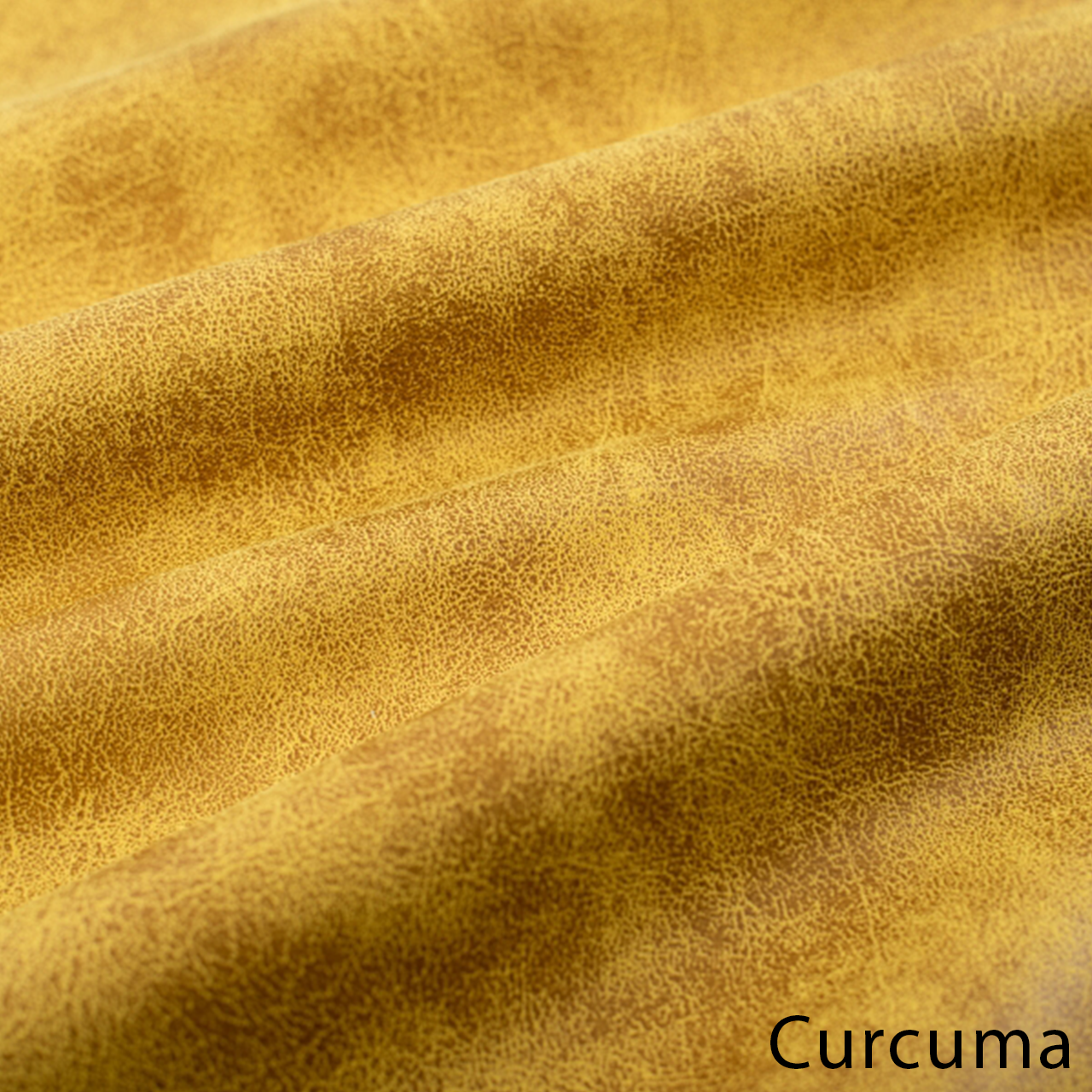 Curcuma