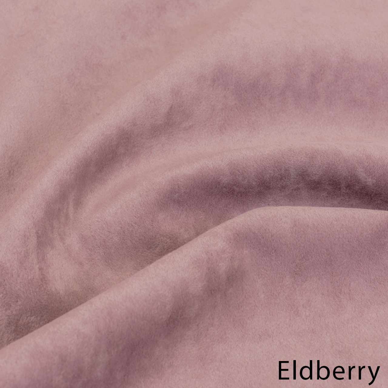 Eldberry