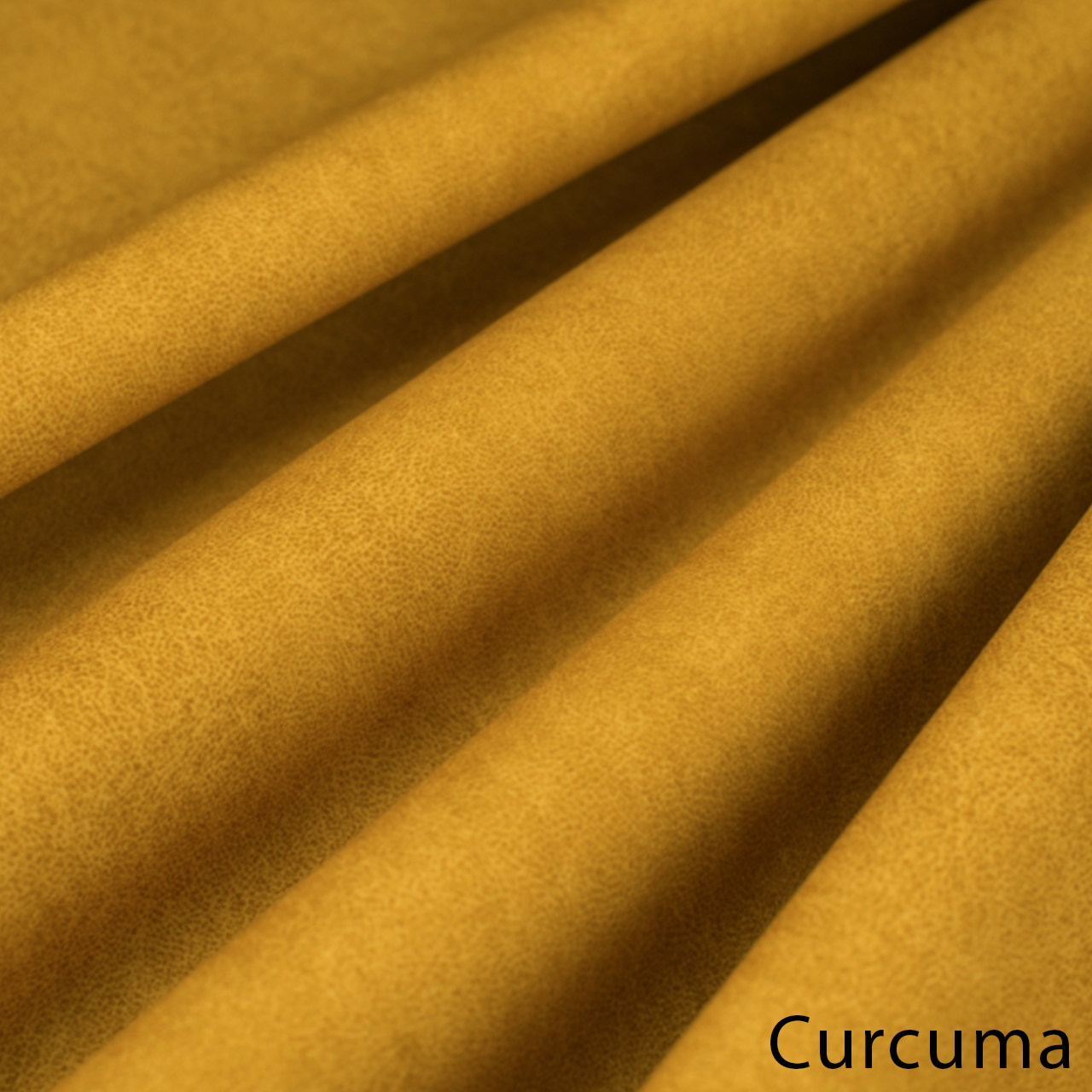 Curcuma