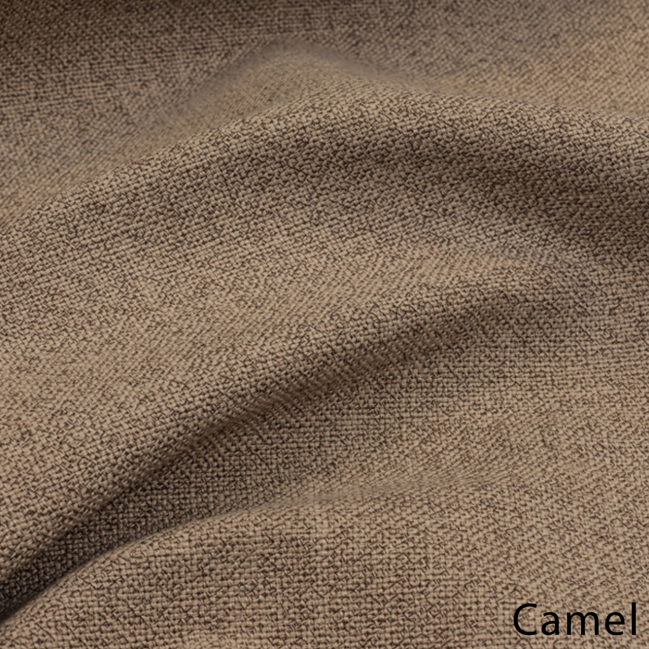 Camel