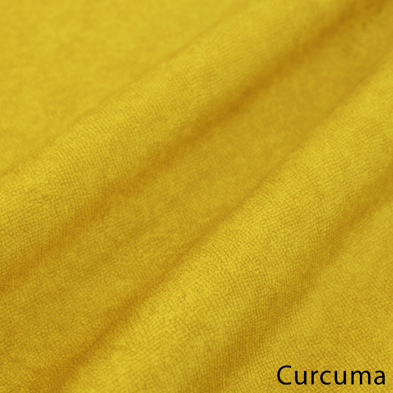 Curcuma