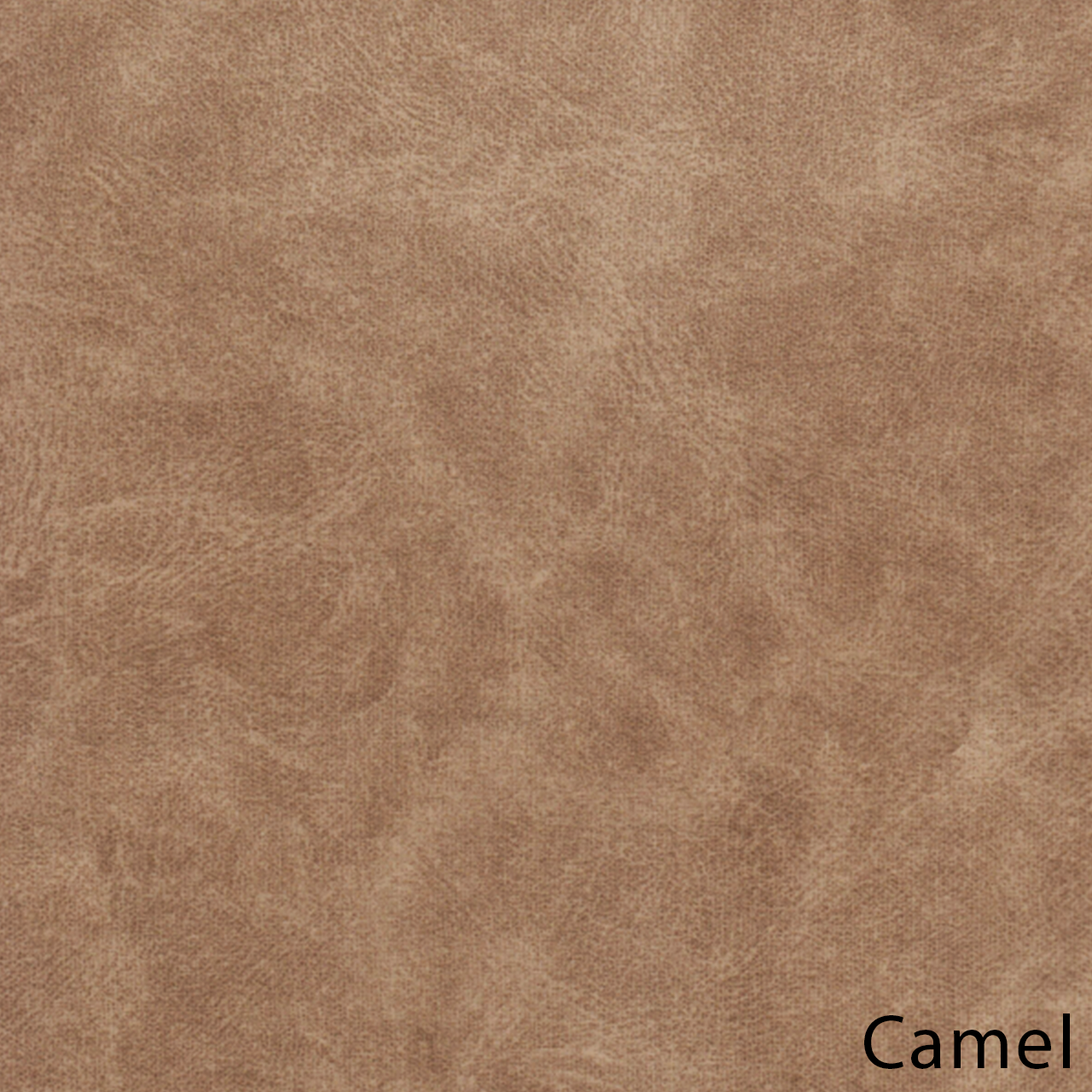 Camel