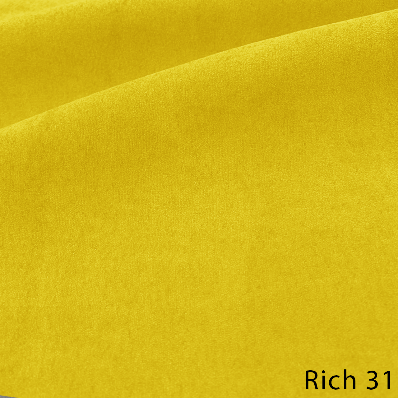 RICH 31