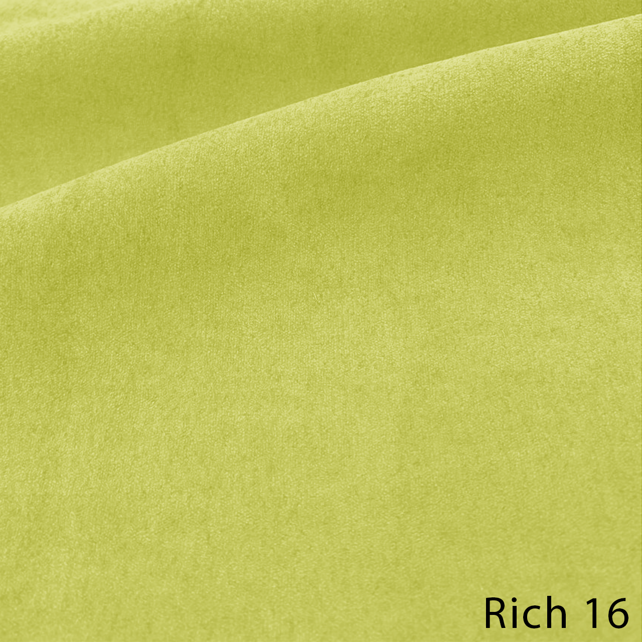 RICH 16