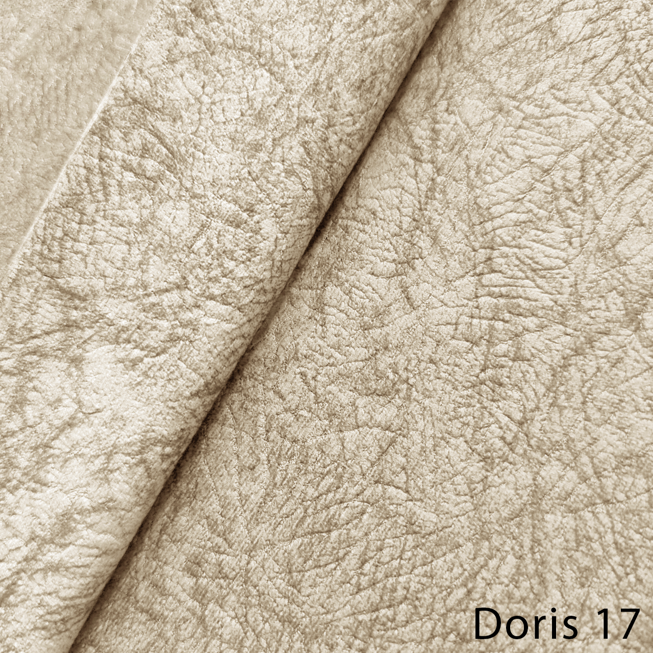 DORIS 17