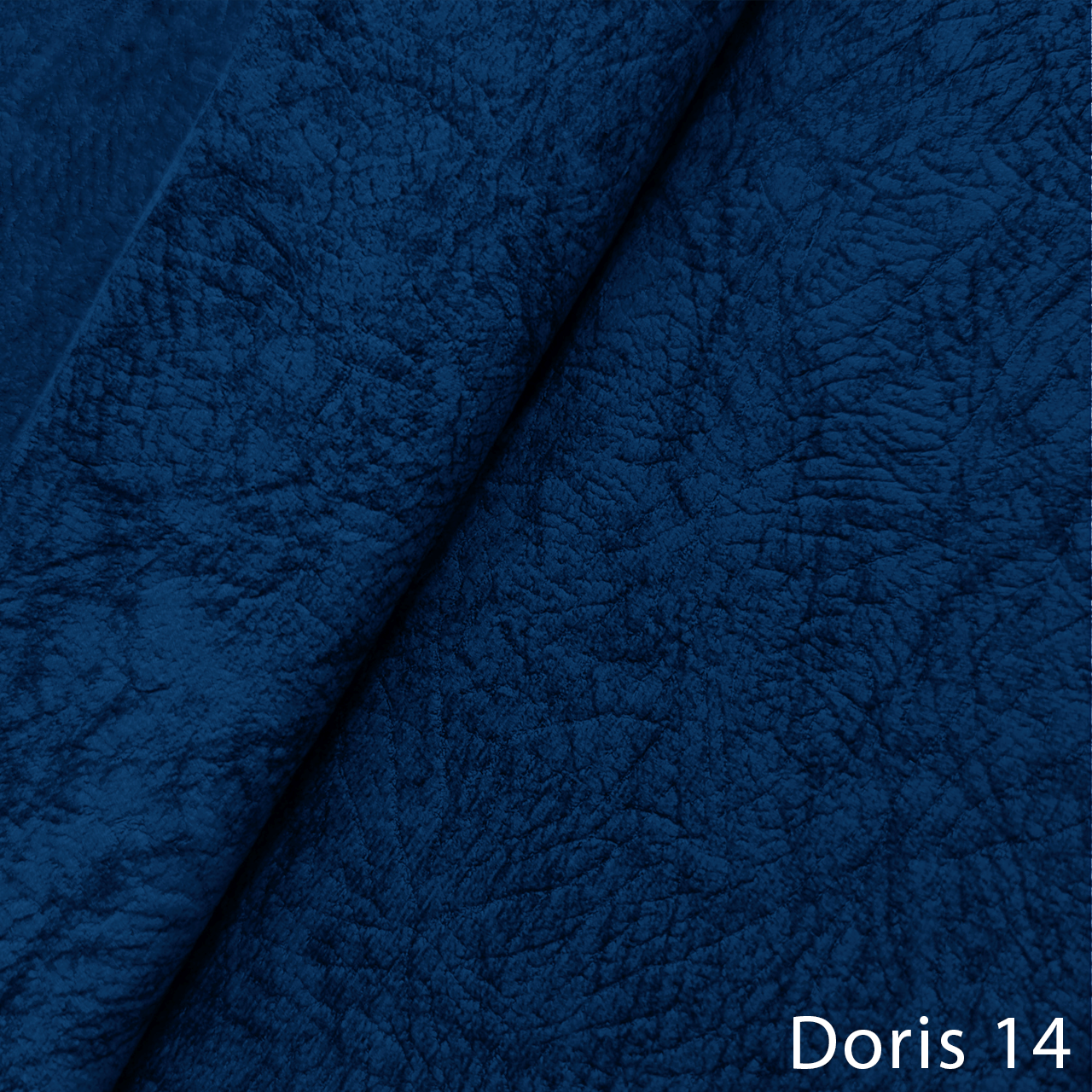 DORIS 14