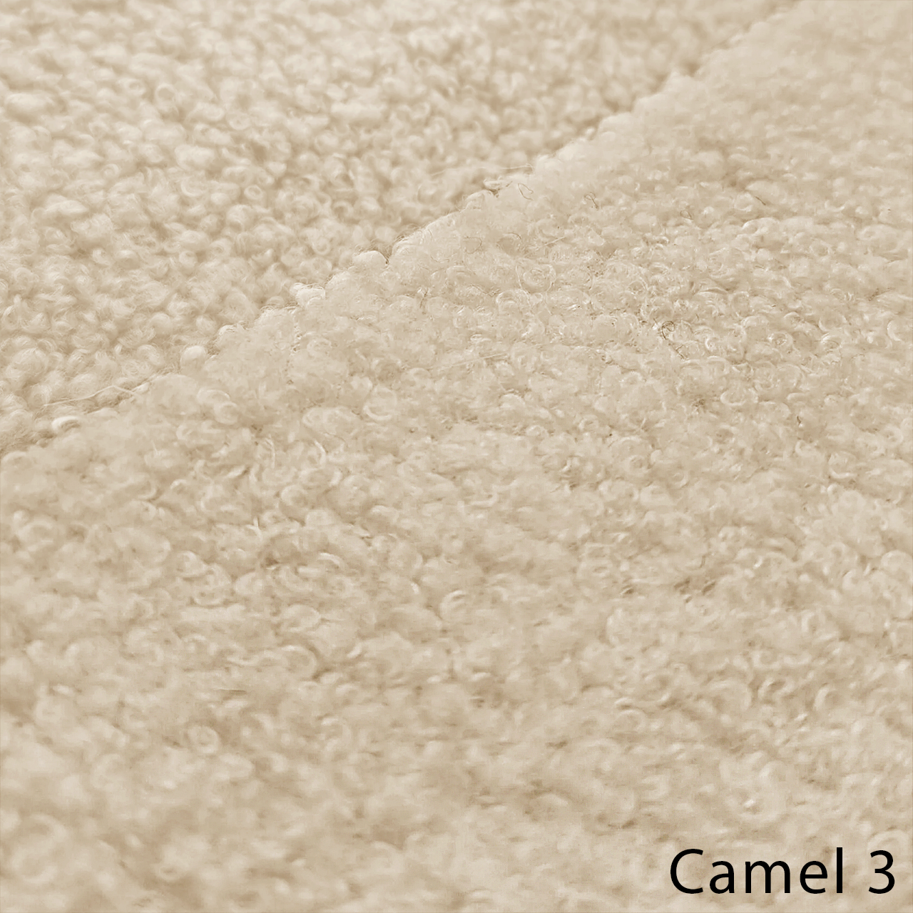 CAMEL 3