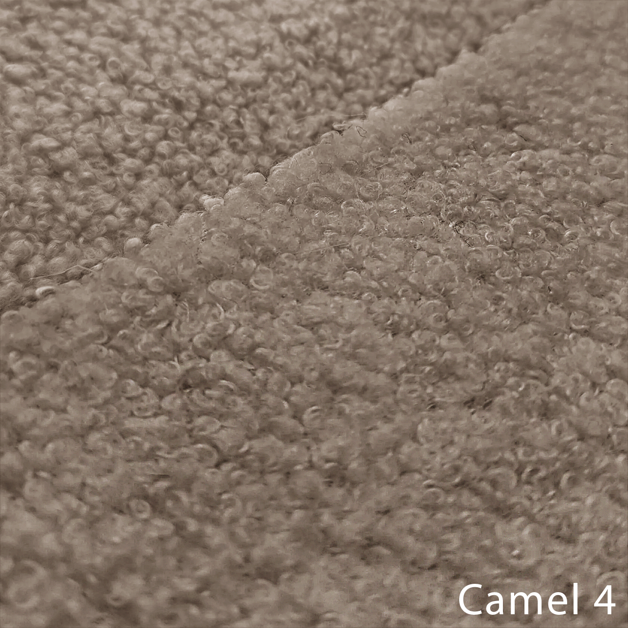 CAMEL 4