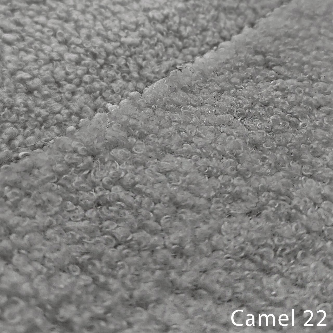 CAMEL 22