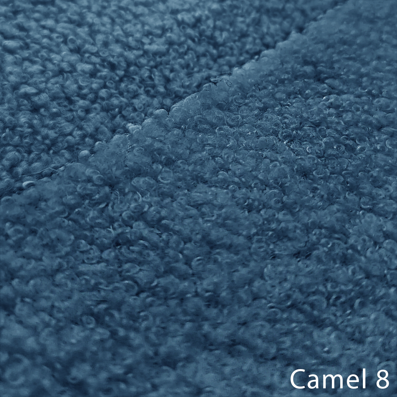 CAMEL 8