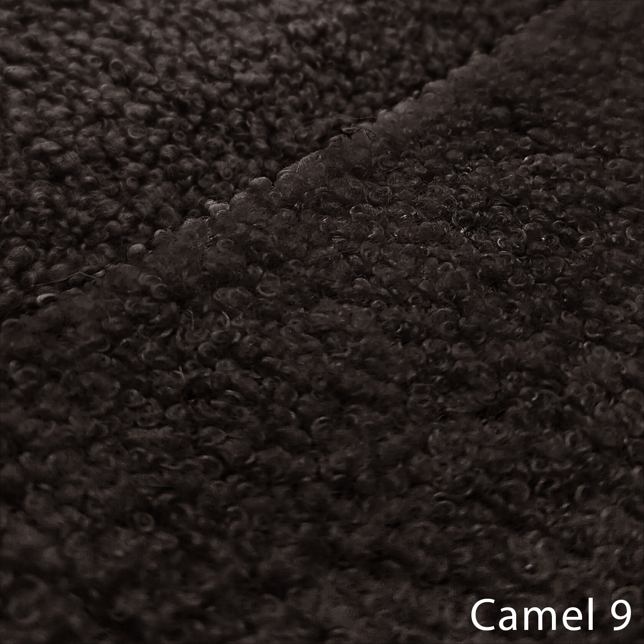 CAMEL 9