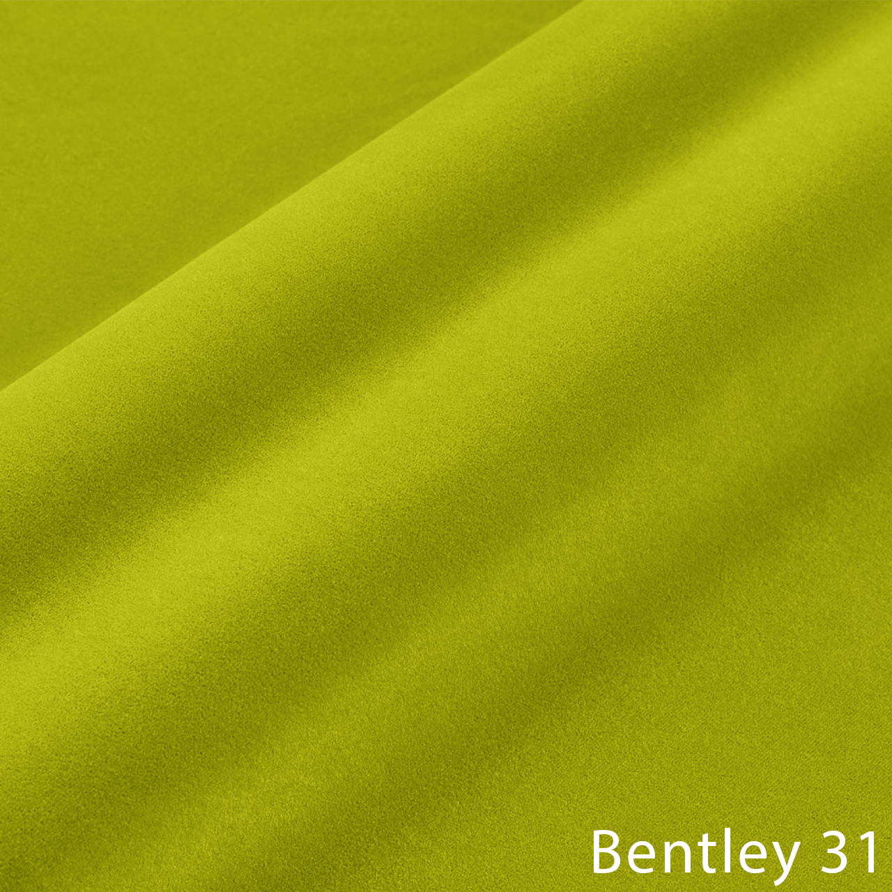 BENTLEY 31