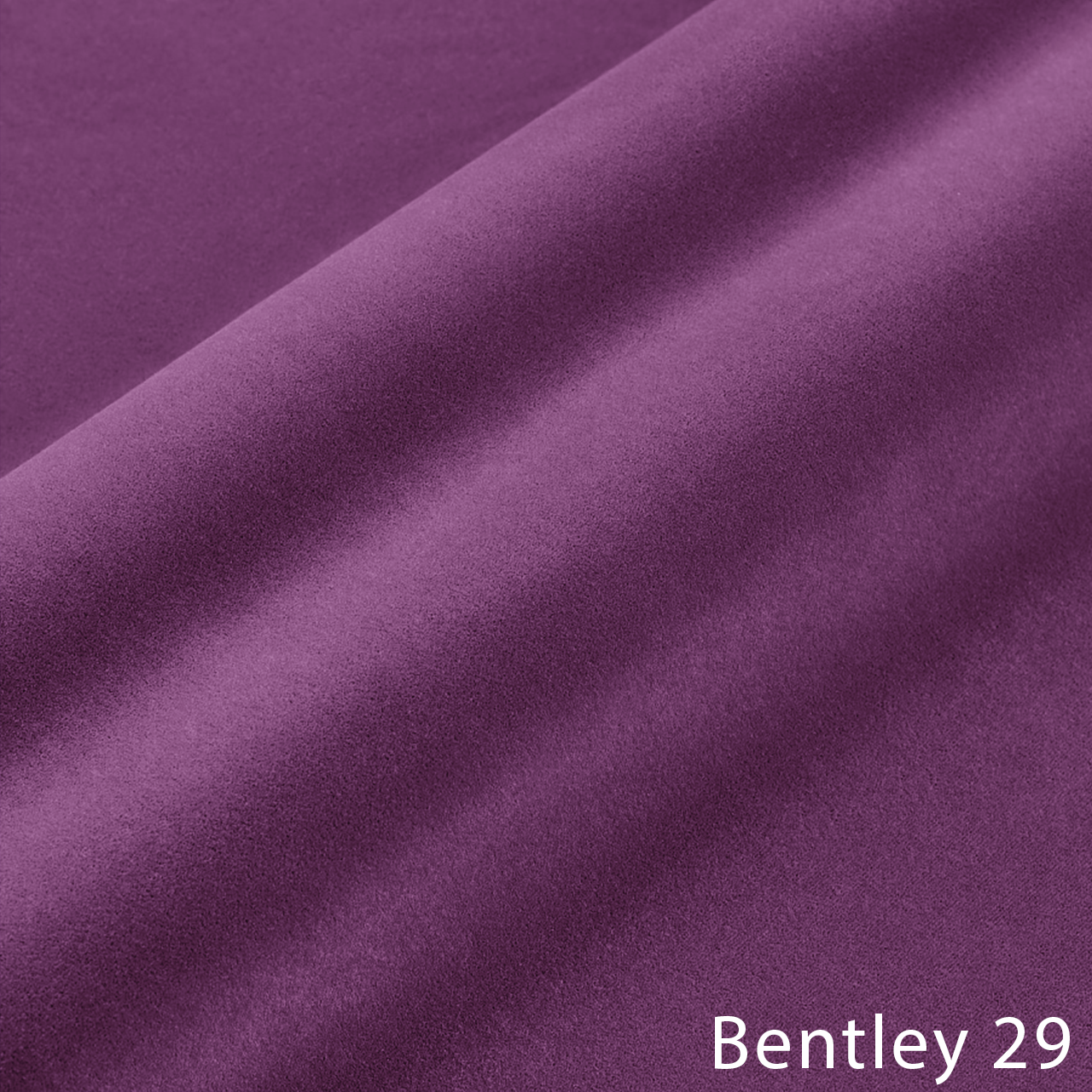 BENTLEY 29