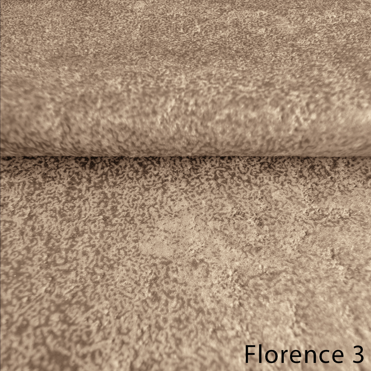 FLORENCE 3