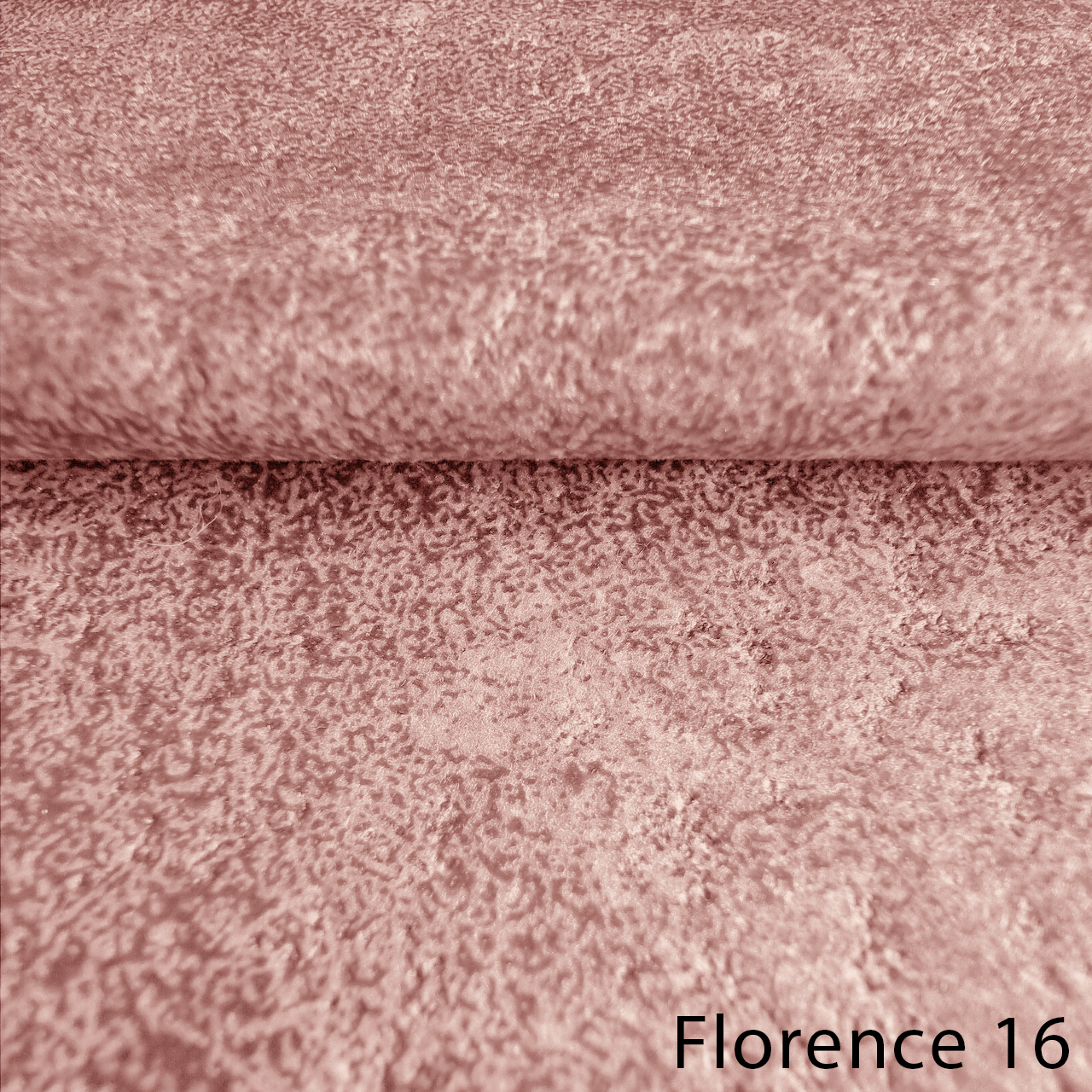 FLORENCE 16