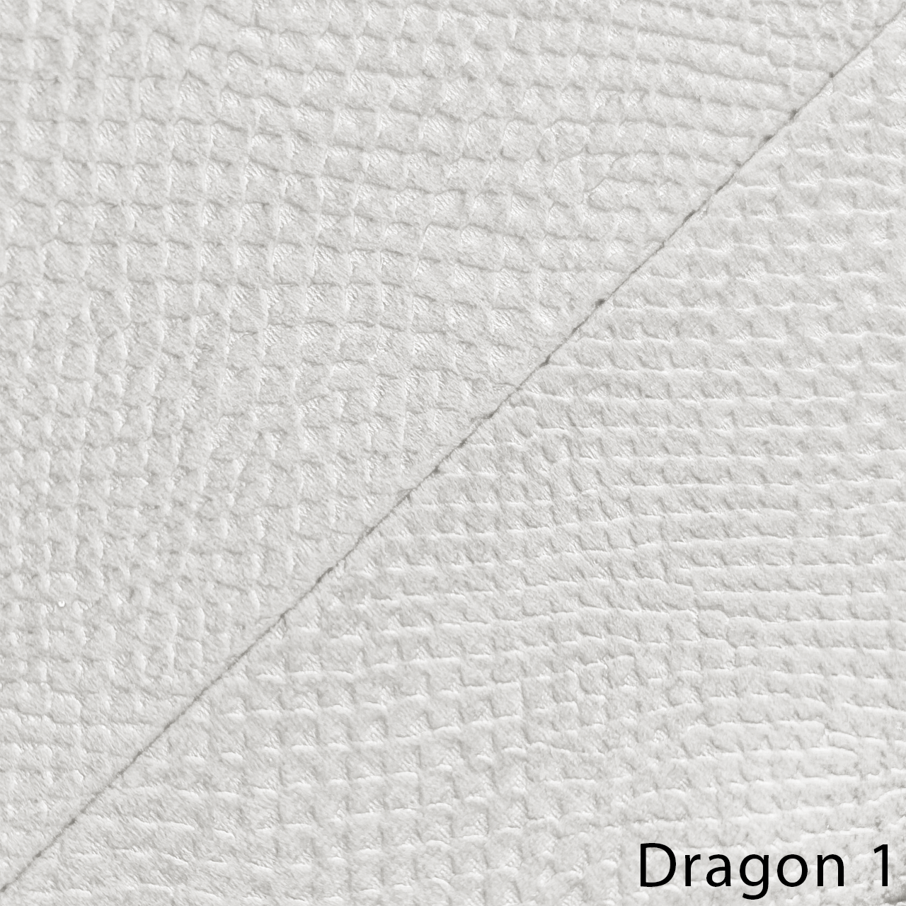 DRAGON 1