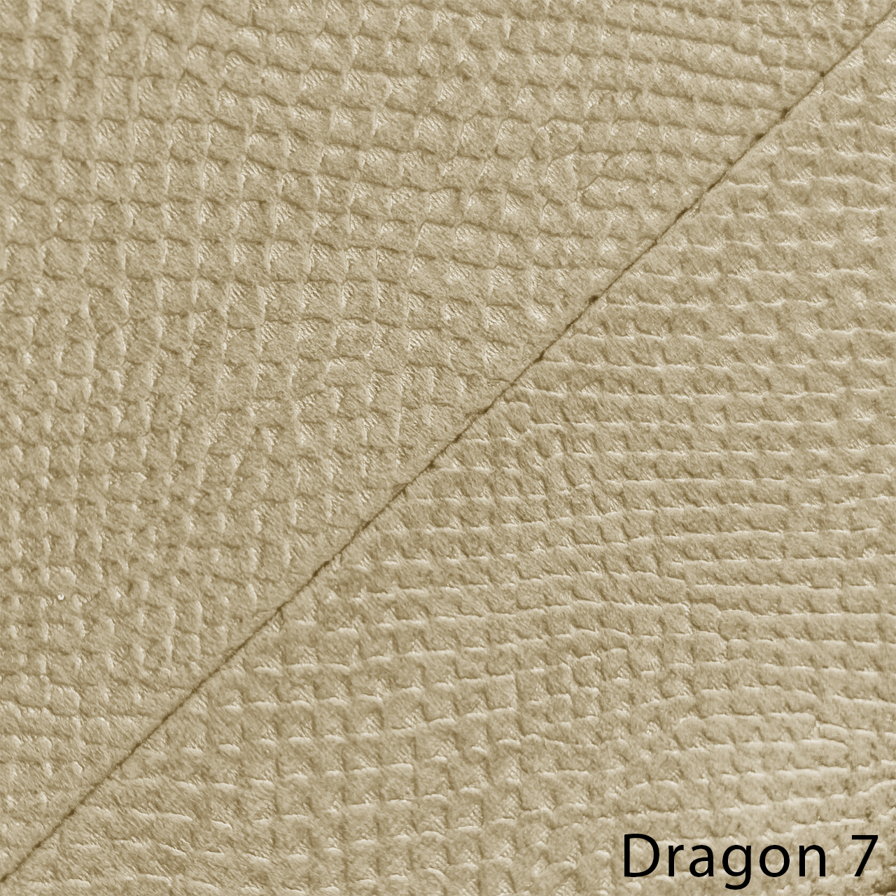 DRAGON 7