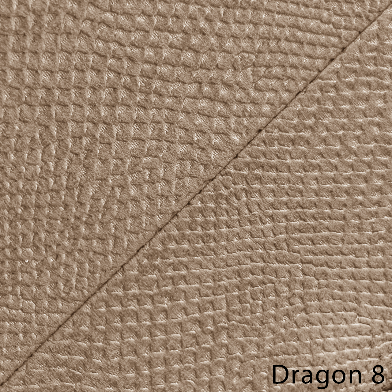 DRAGON 8