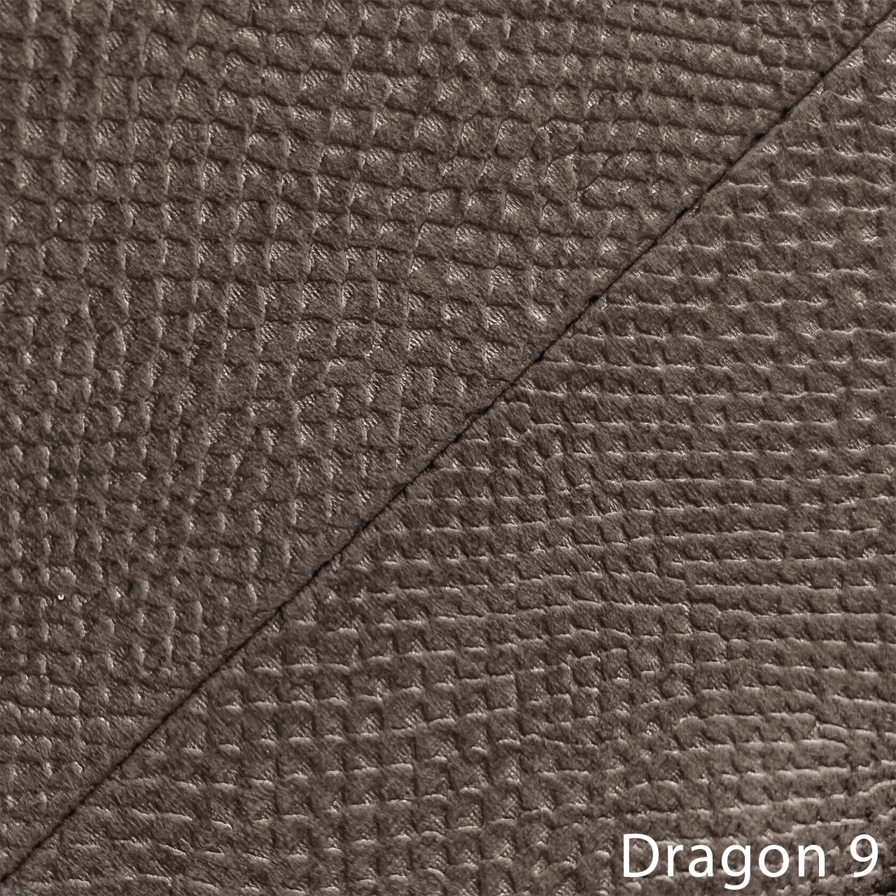 DRAGON 9